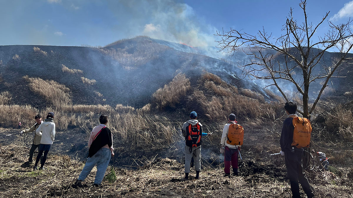 阿蘇・高森の茅場　野焼き2026